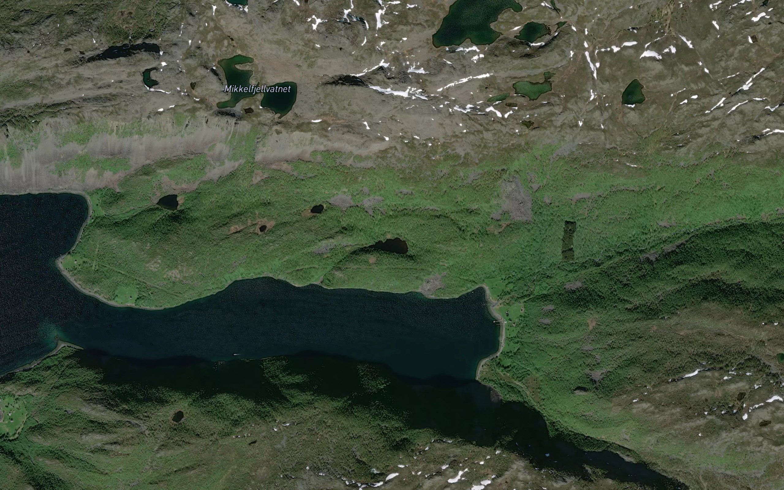 Skoarrujavri