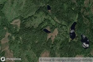 Midtfjelltjern