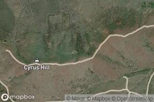 Cyrus Hill Pond
