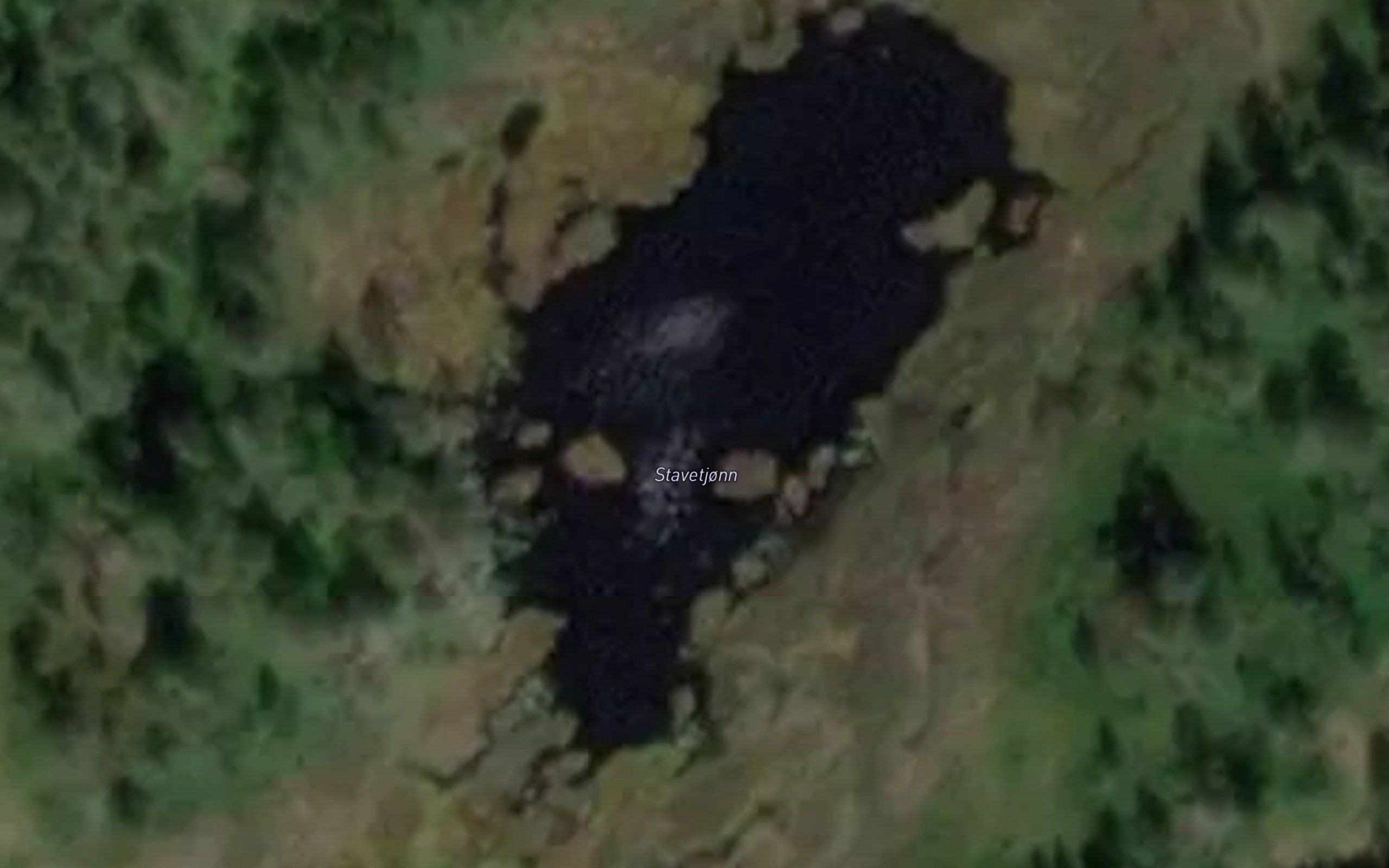Stavetjorn
