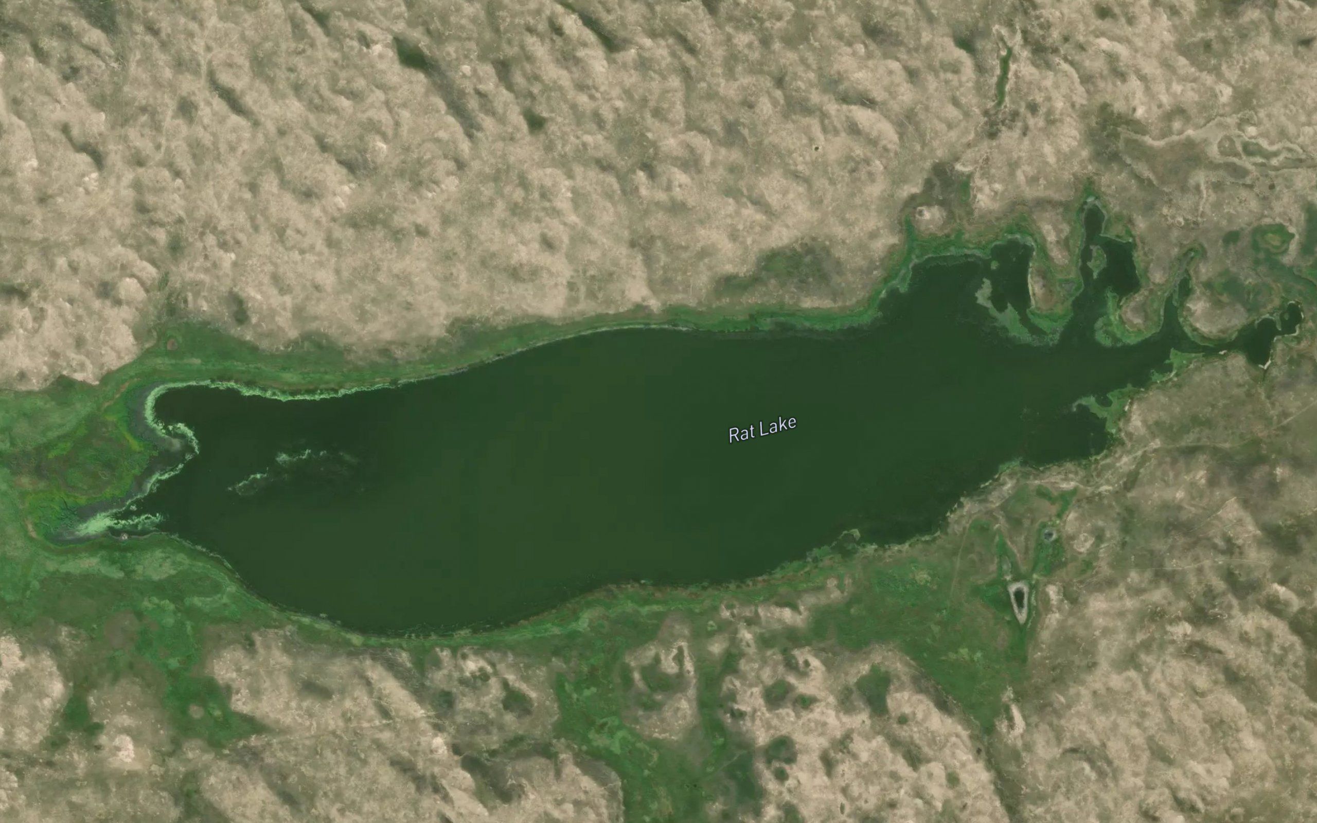 Rat Lake