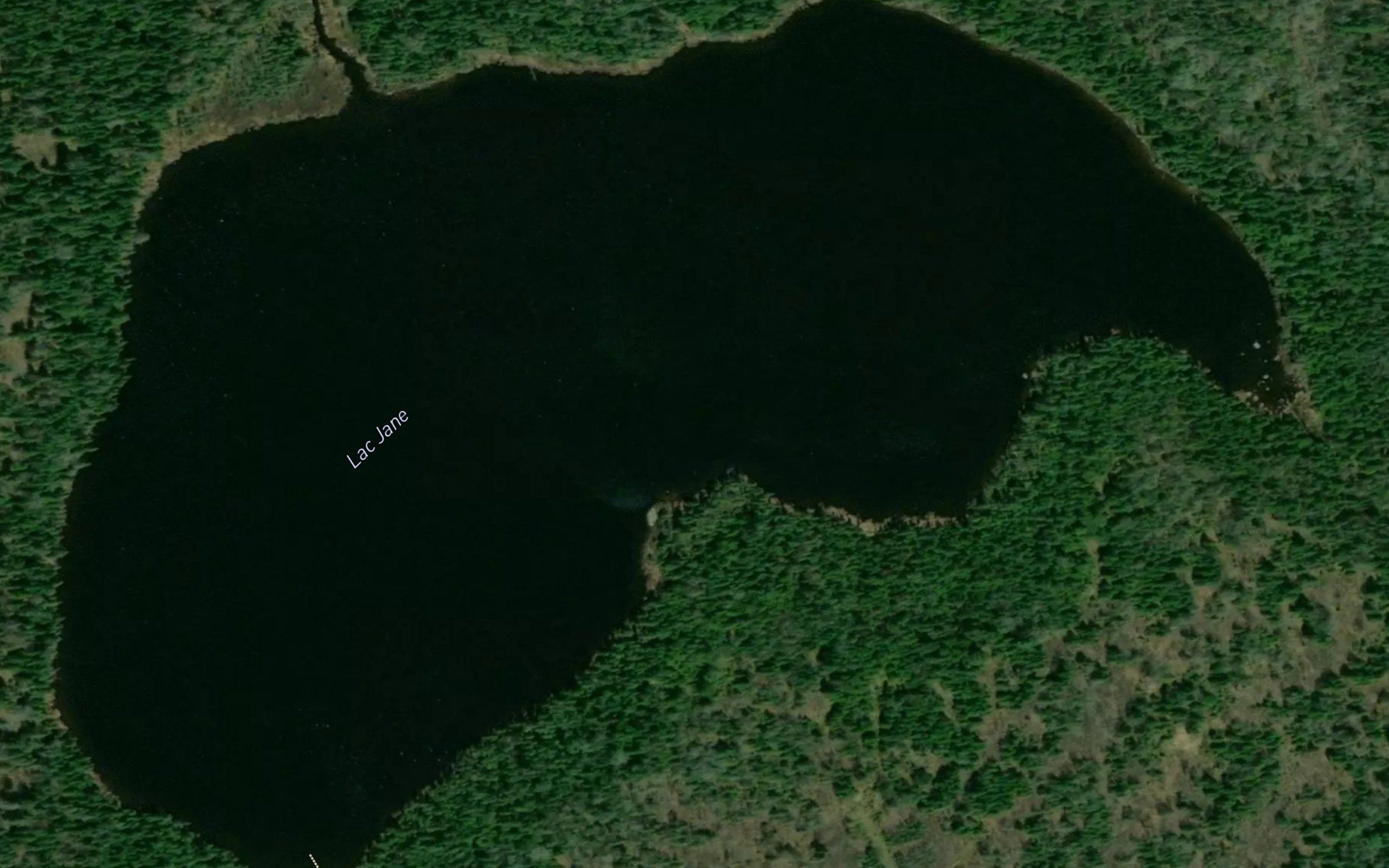 Lac Jane
