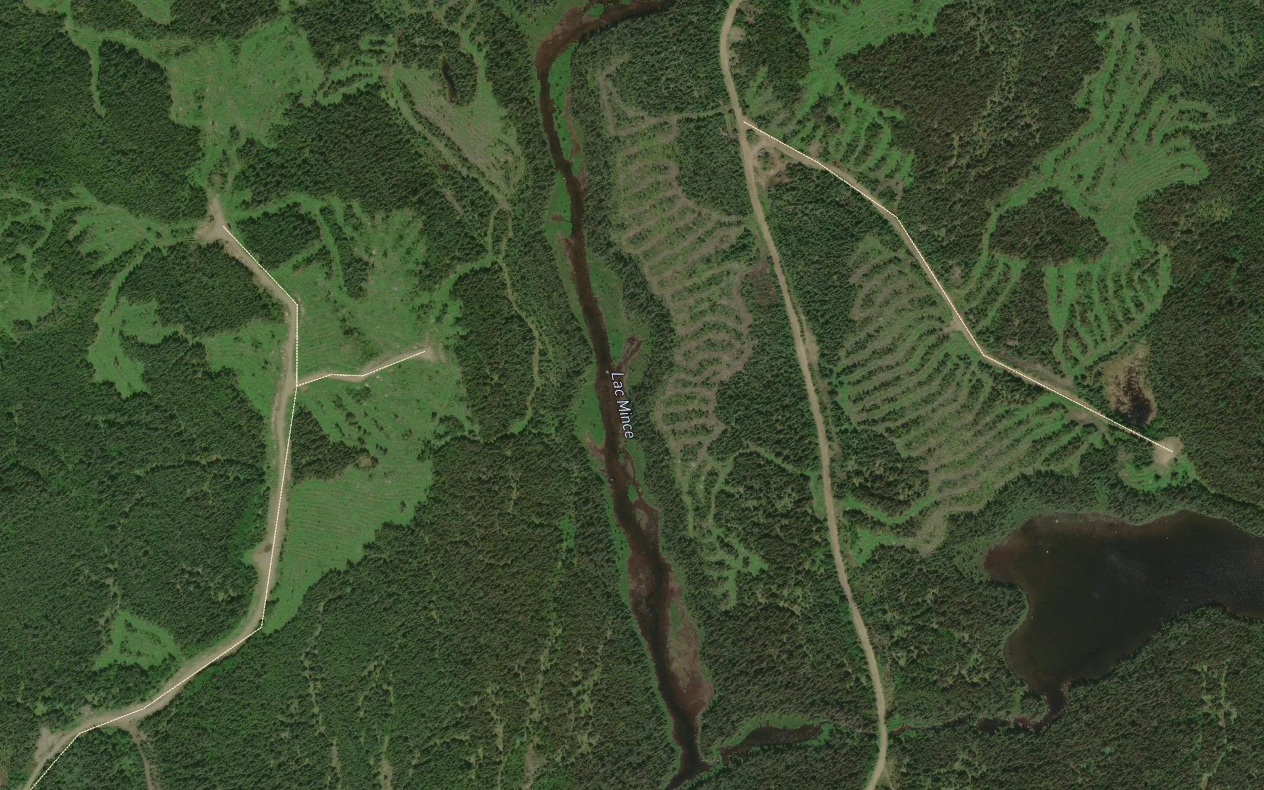 Lac Mince