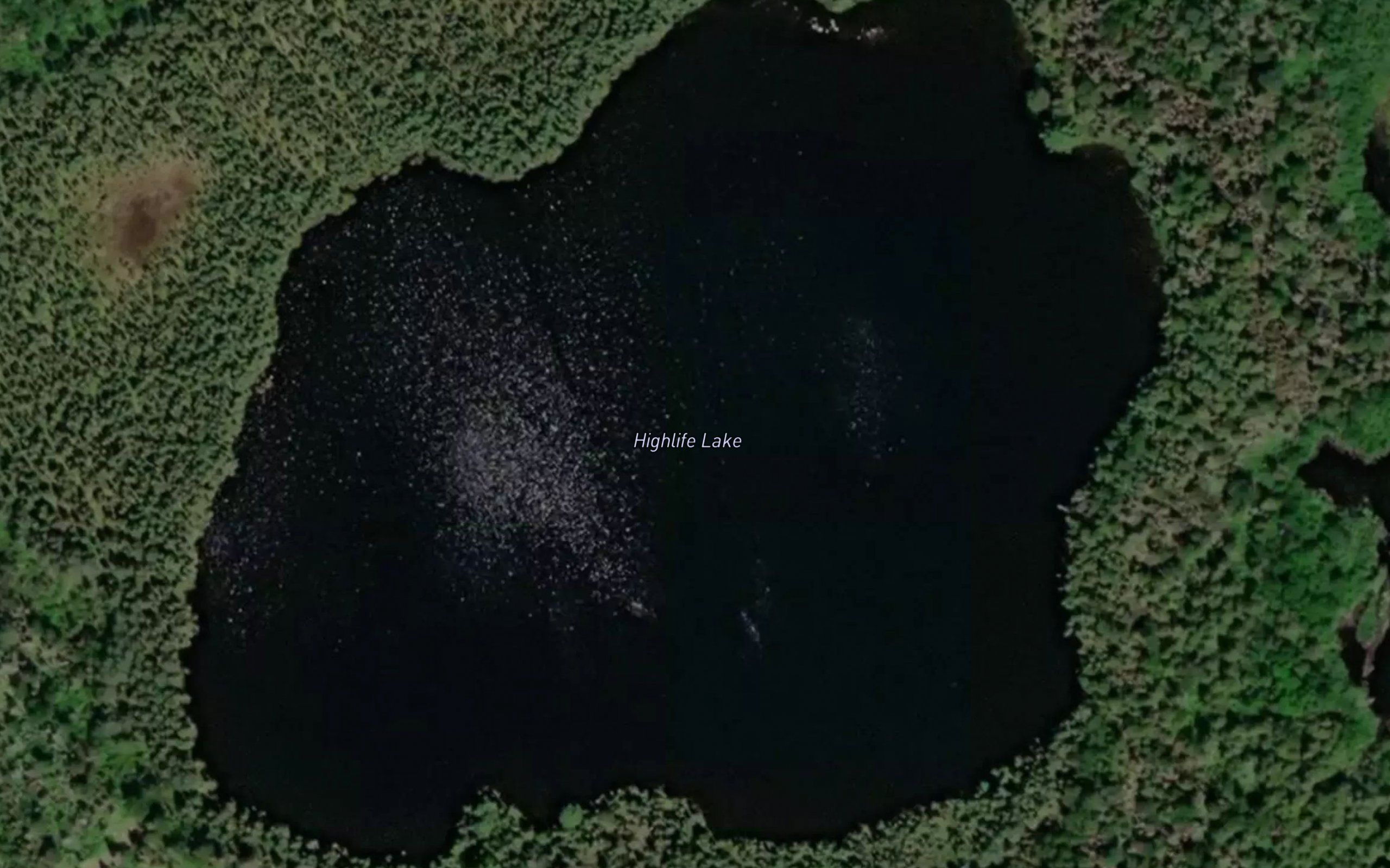 Highlife Lake