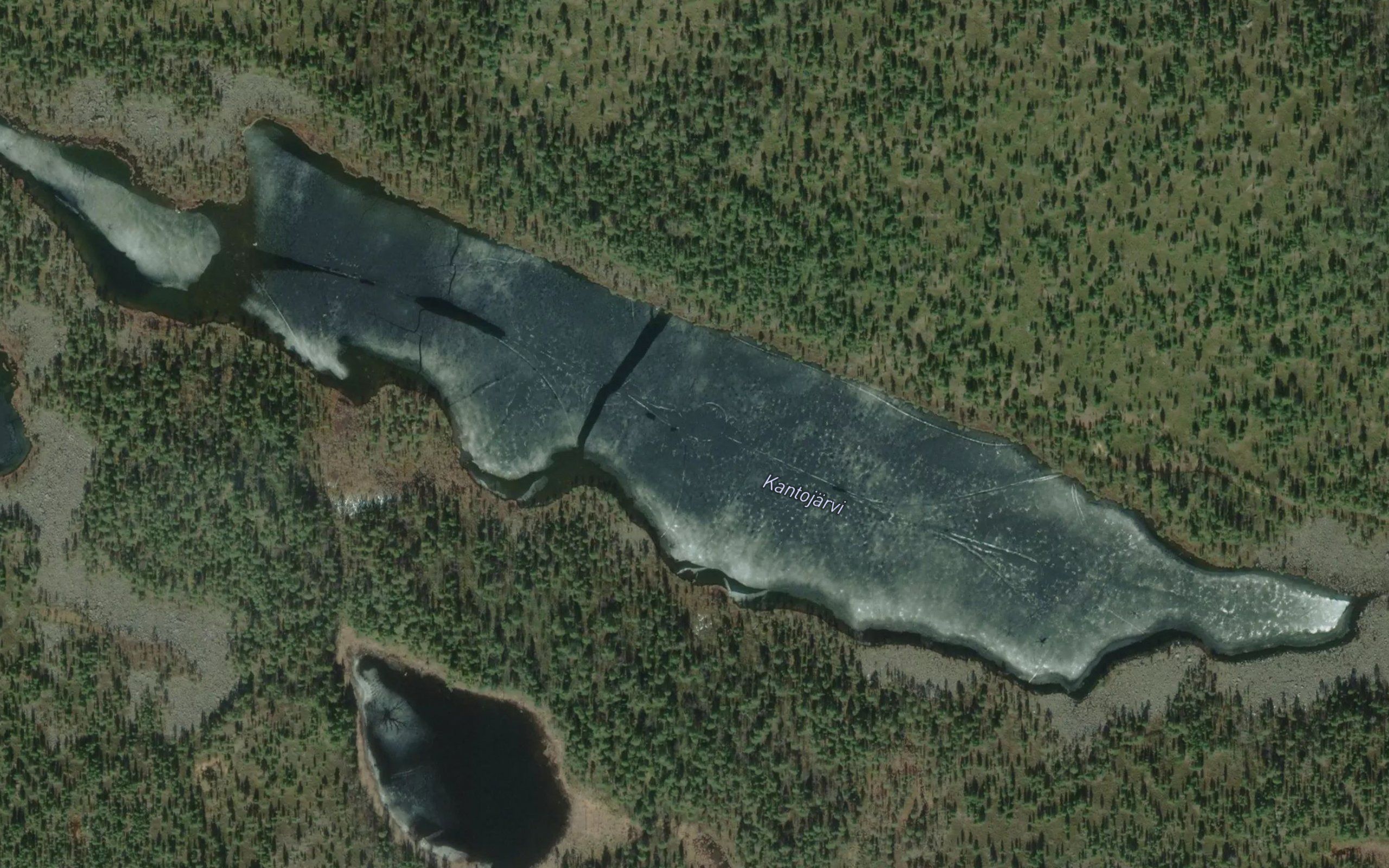 Jalnesjavri