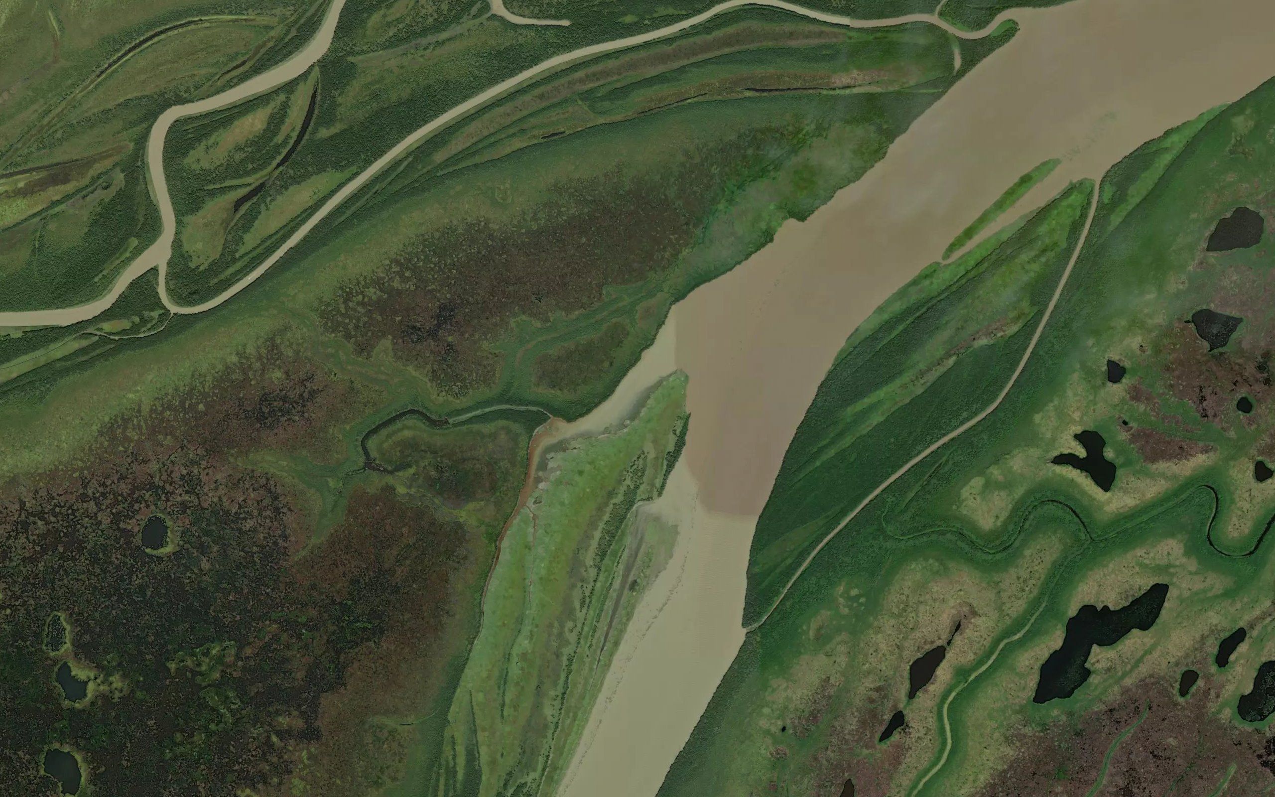 Pieneluk Slough