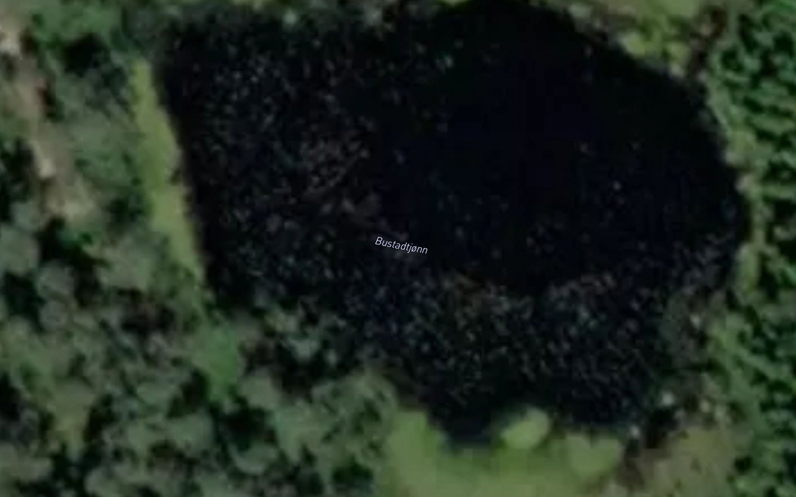 Bustadtjonn