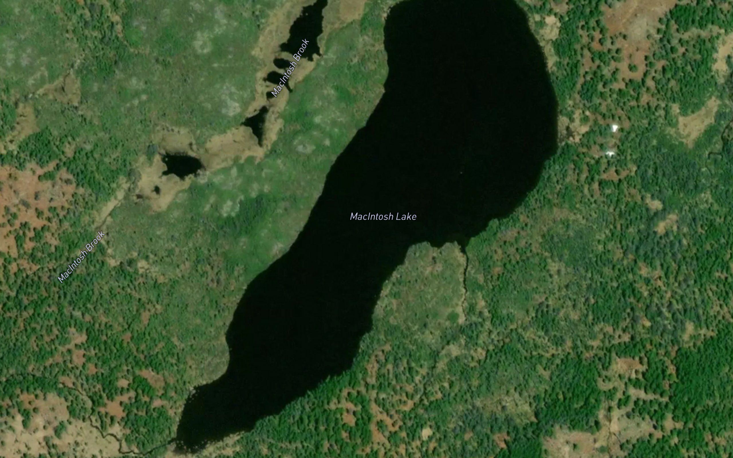 MacIntosh Lake