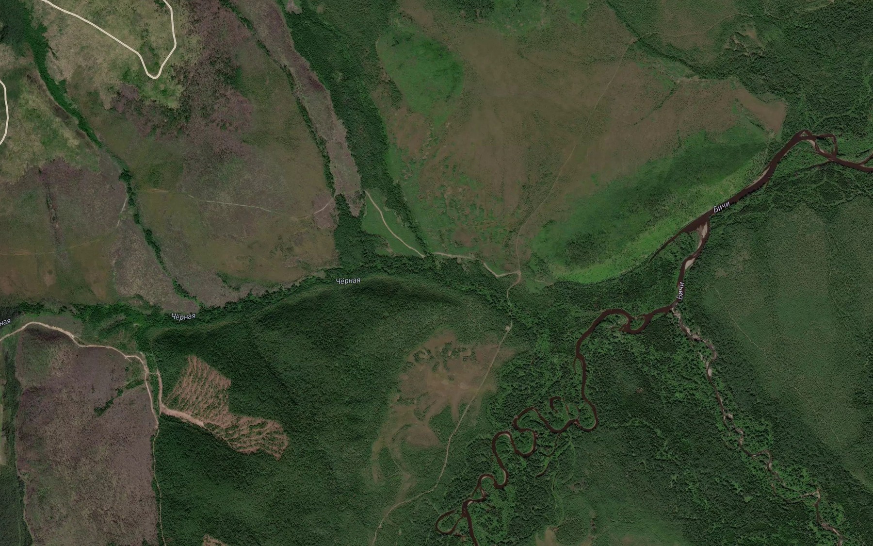 Satellite map of the Dlinnyy