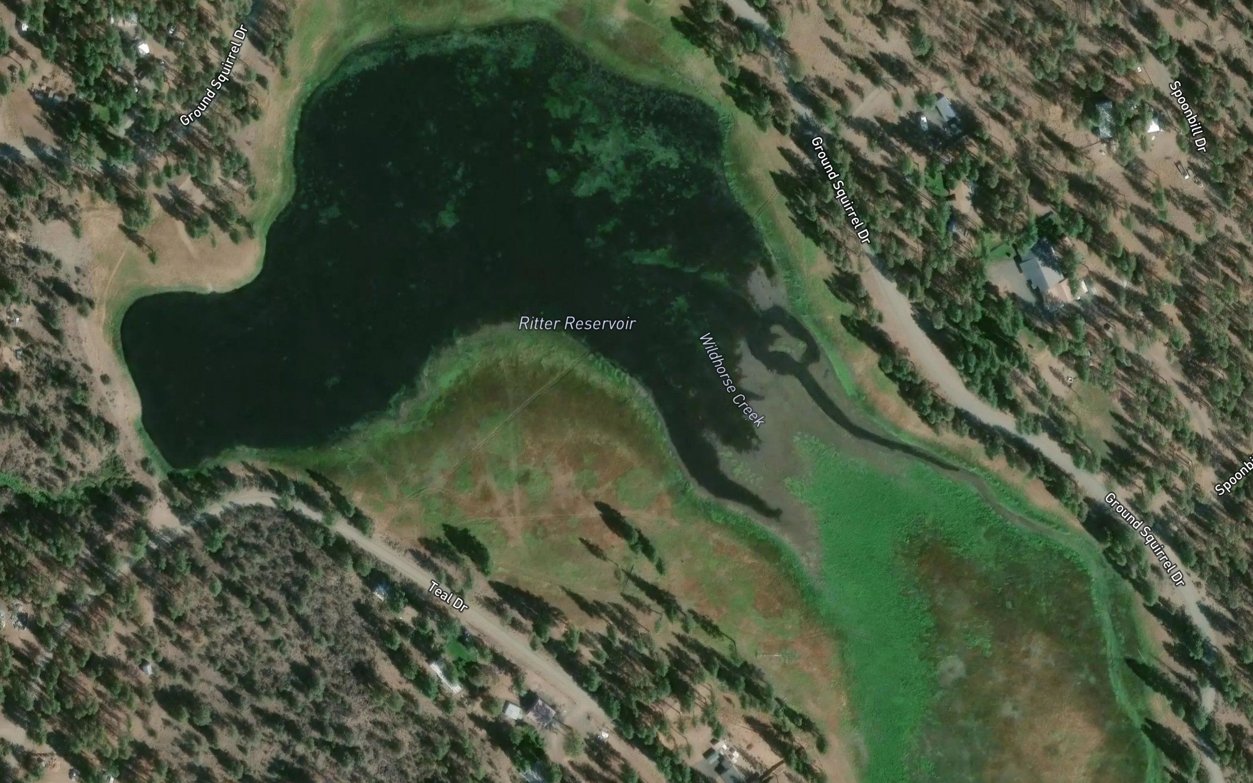 Ritter Reservoir