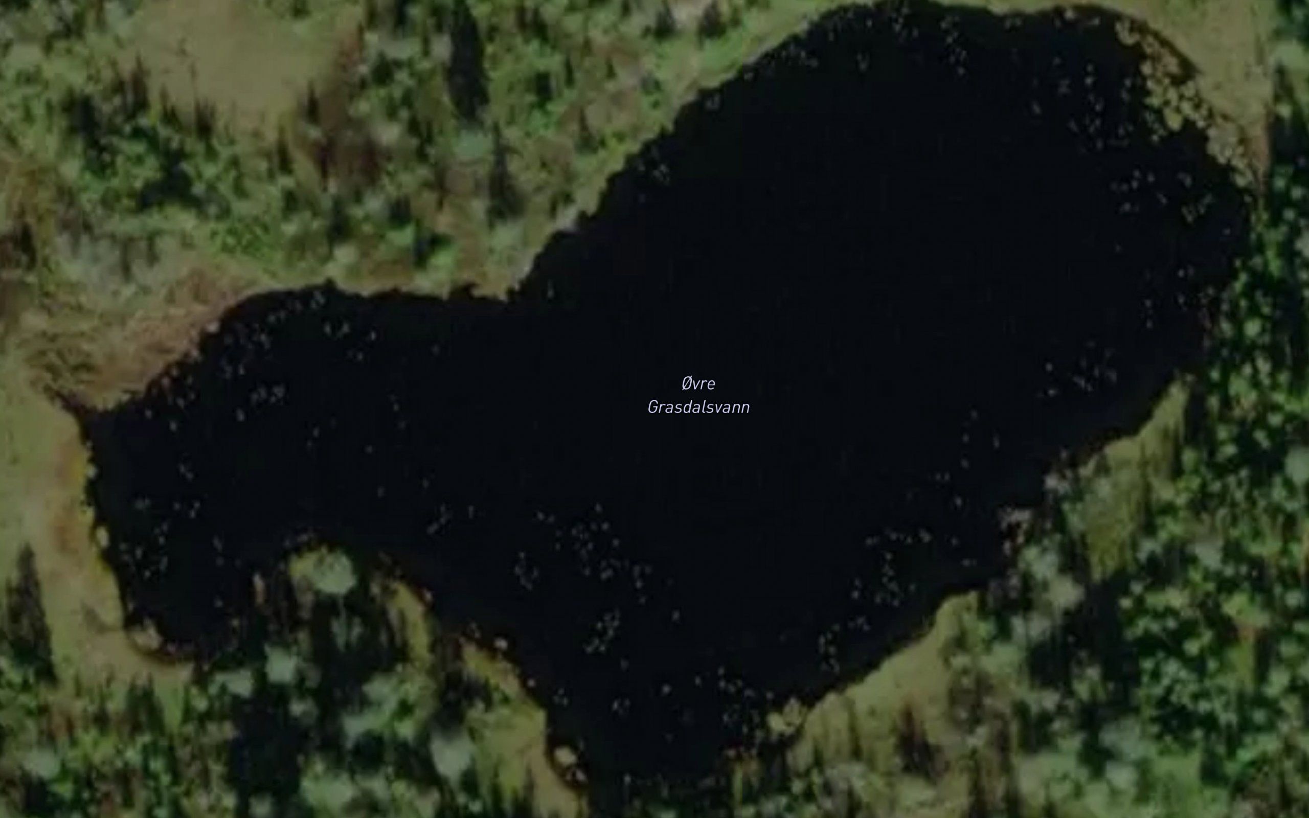 Ovre Grasdalsvann