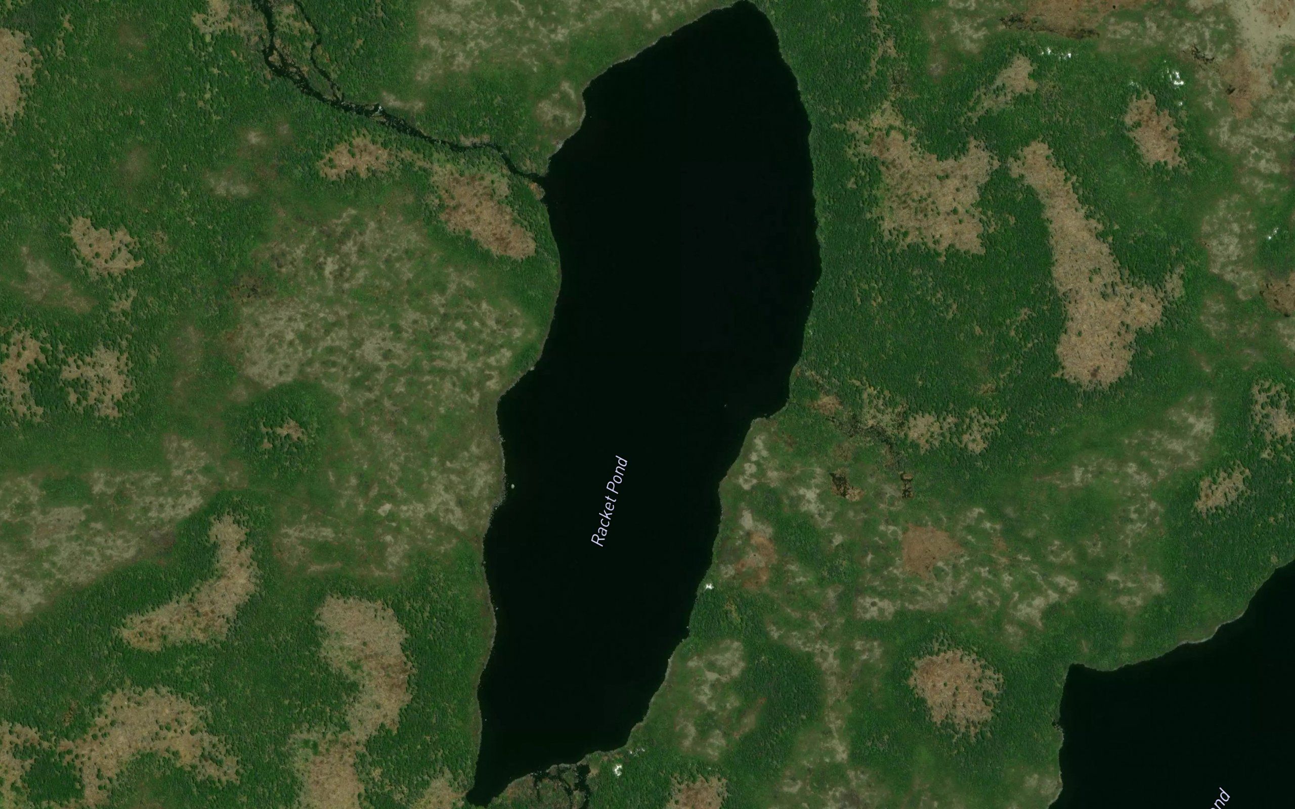 Racket Pond