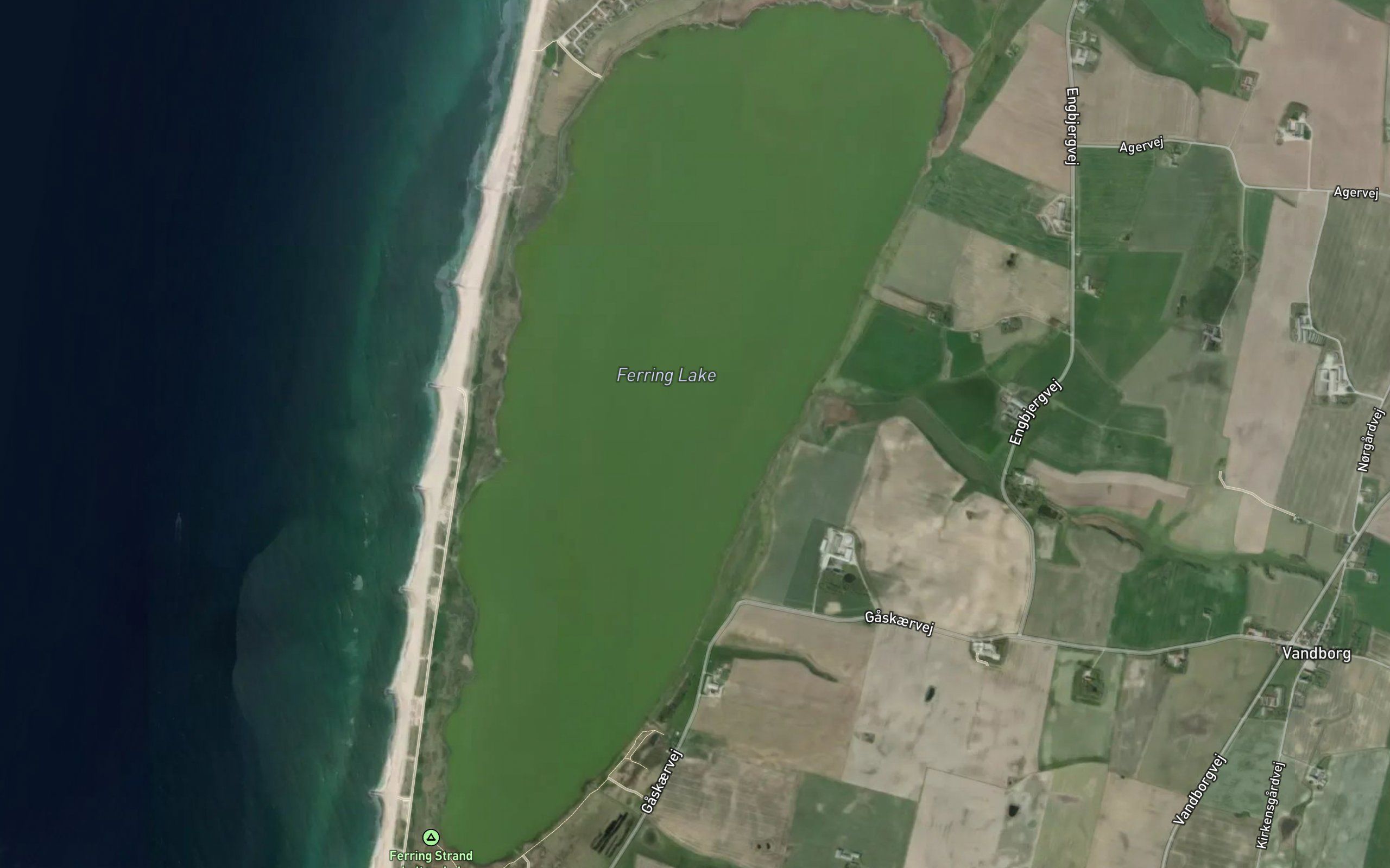 Ferring So