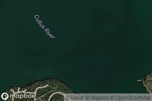 Cultus River