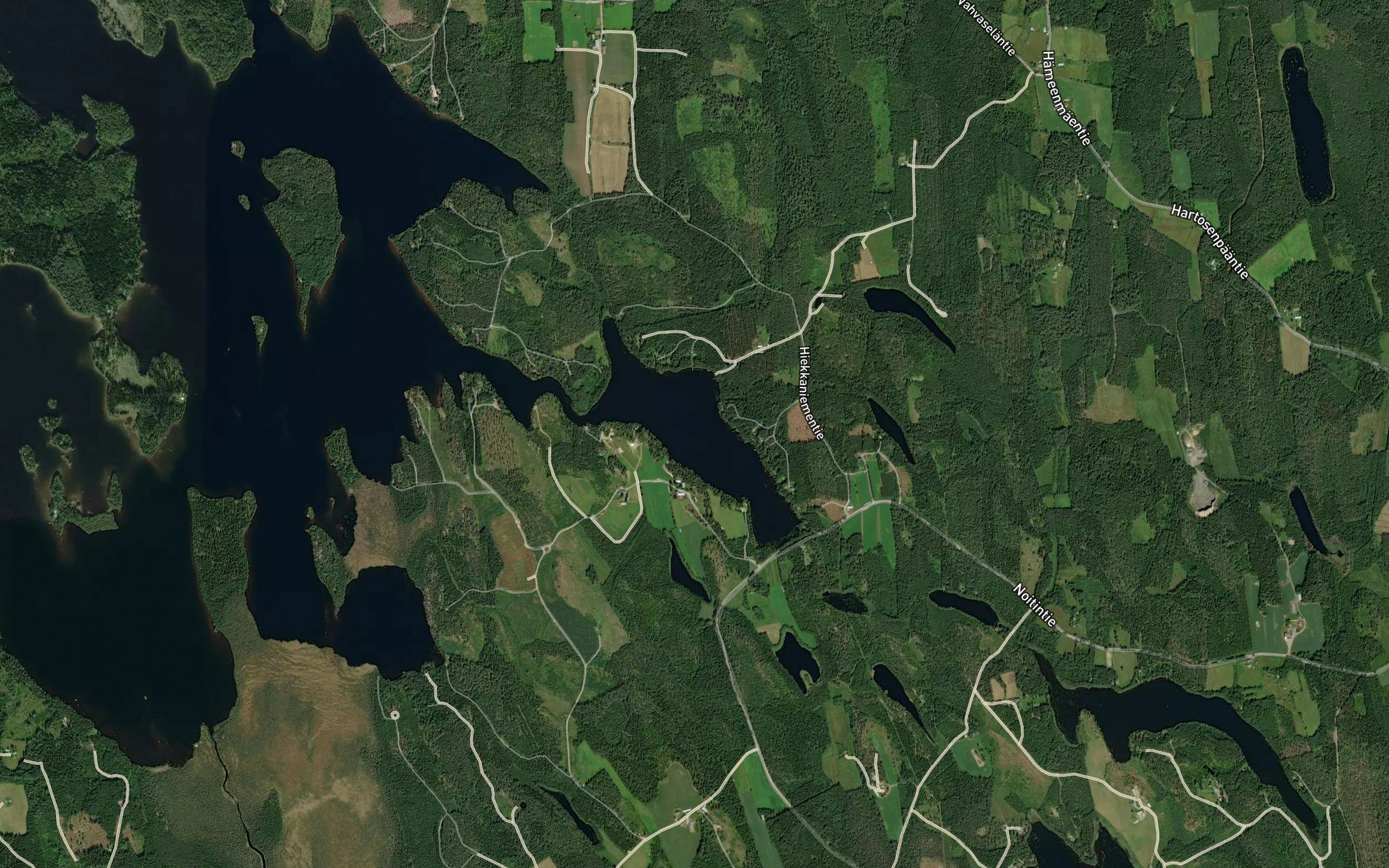 Seppalanlahti