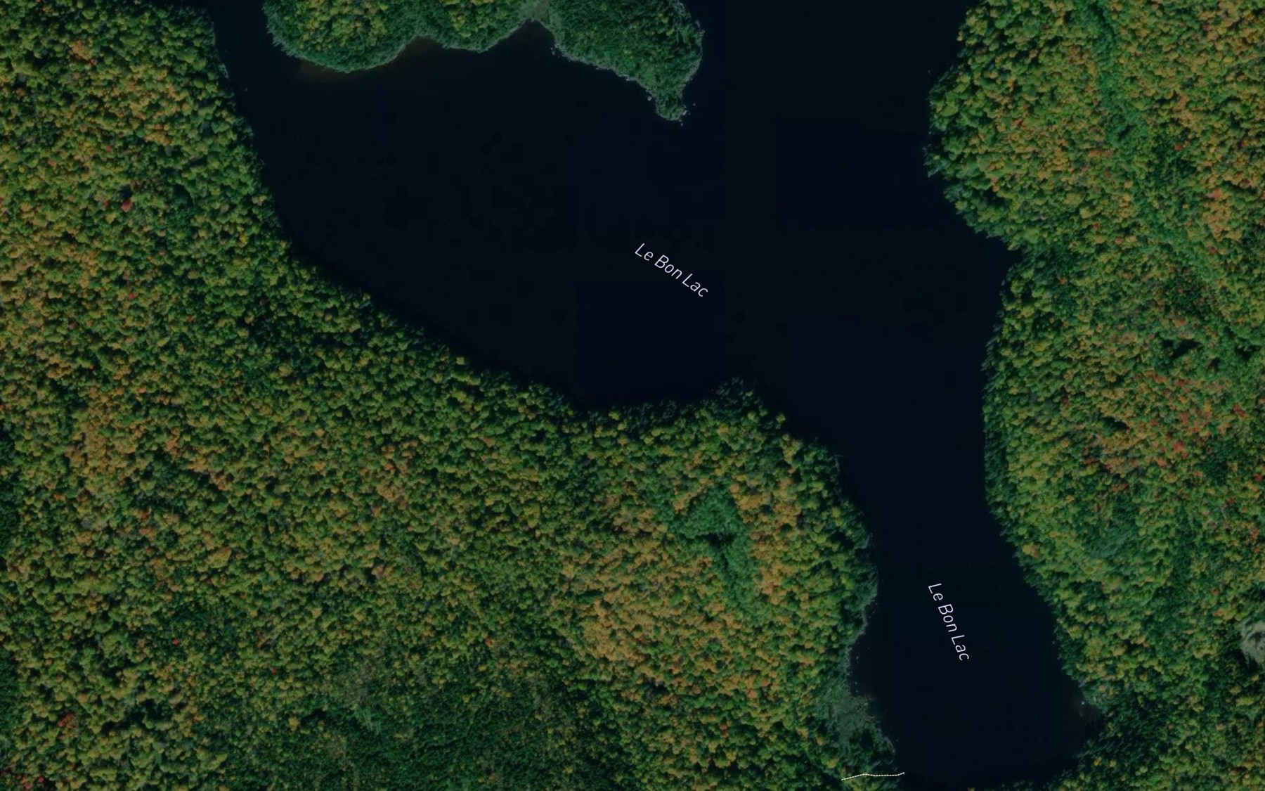 Satellite map of the Le Bon Lac