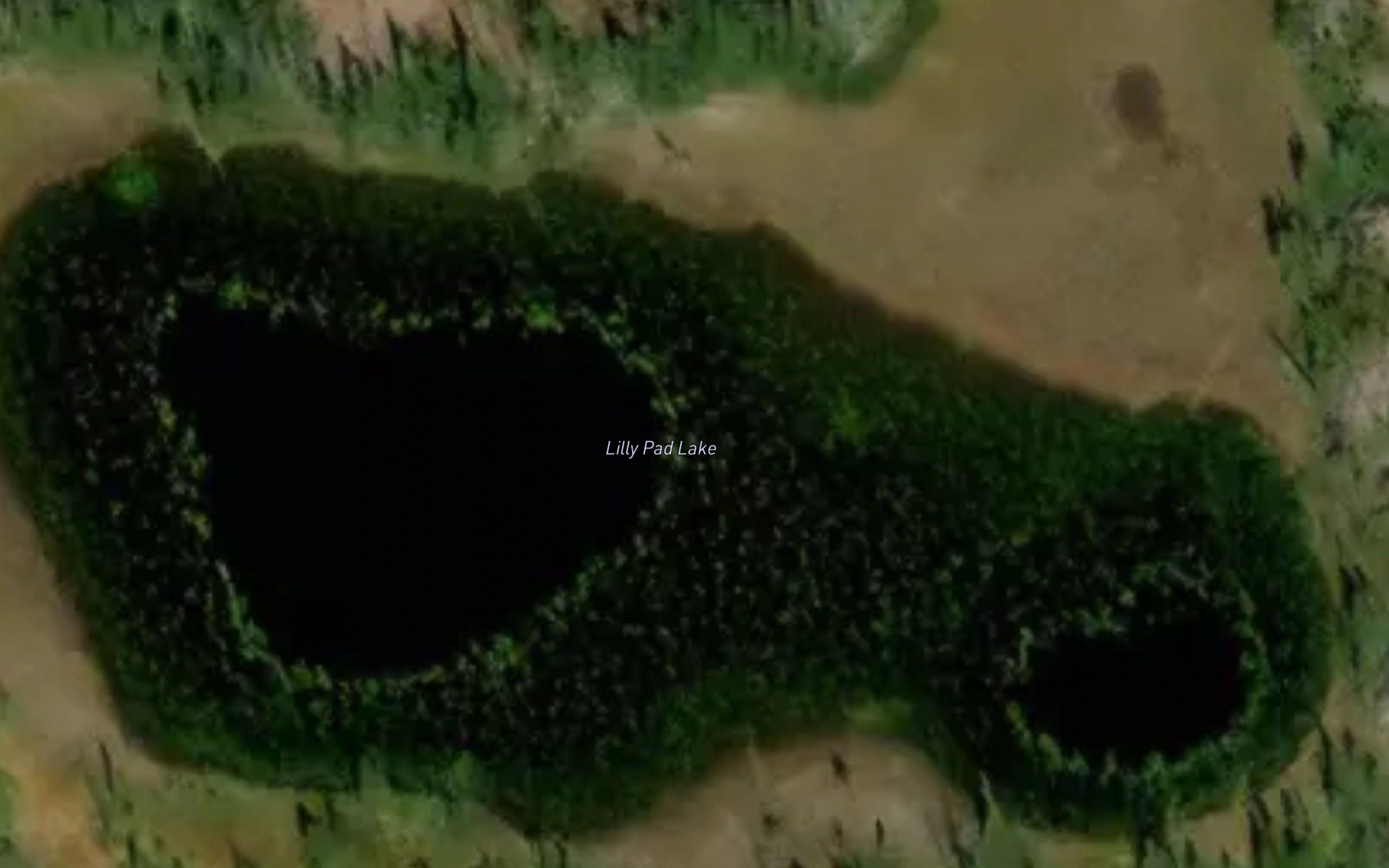 Lily Pad Lake