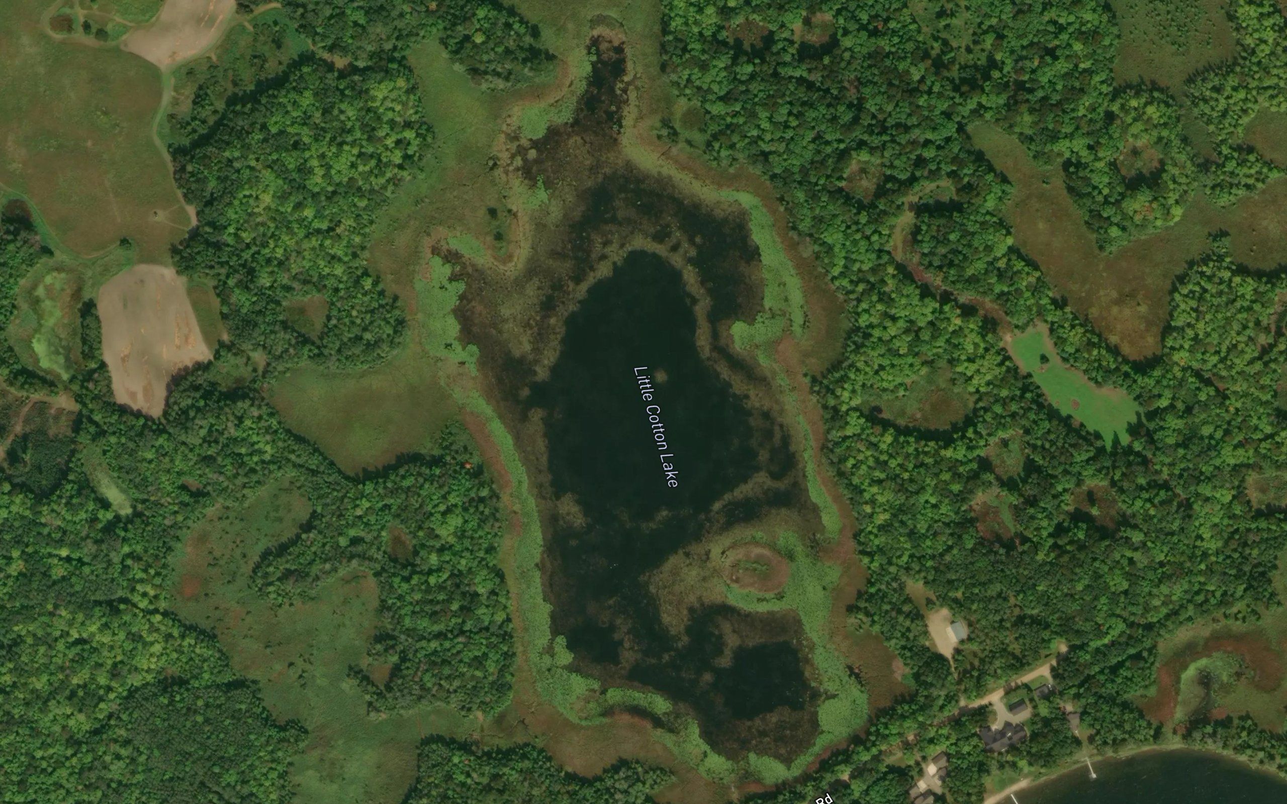 Little Cotton Lake