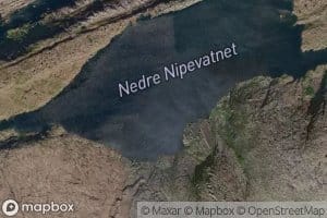 Nipevatna