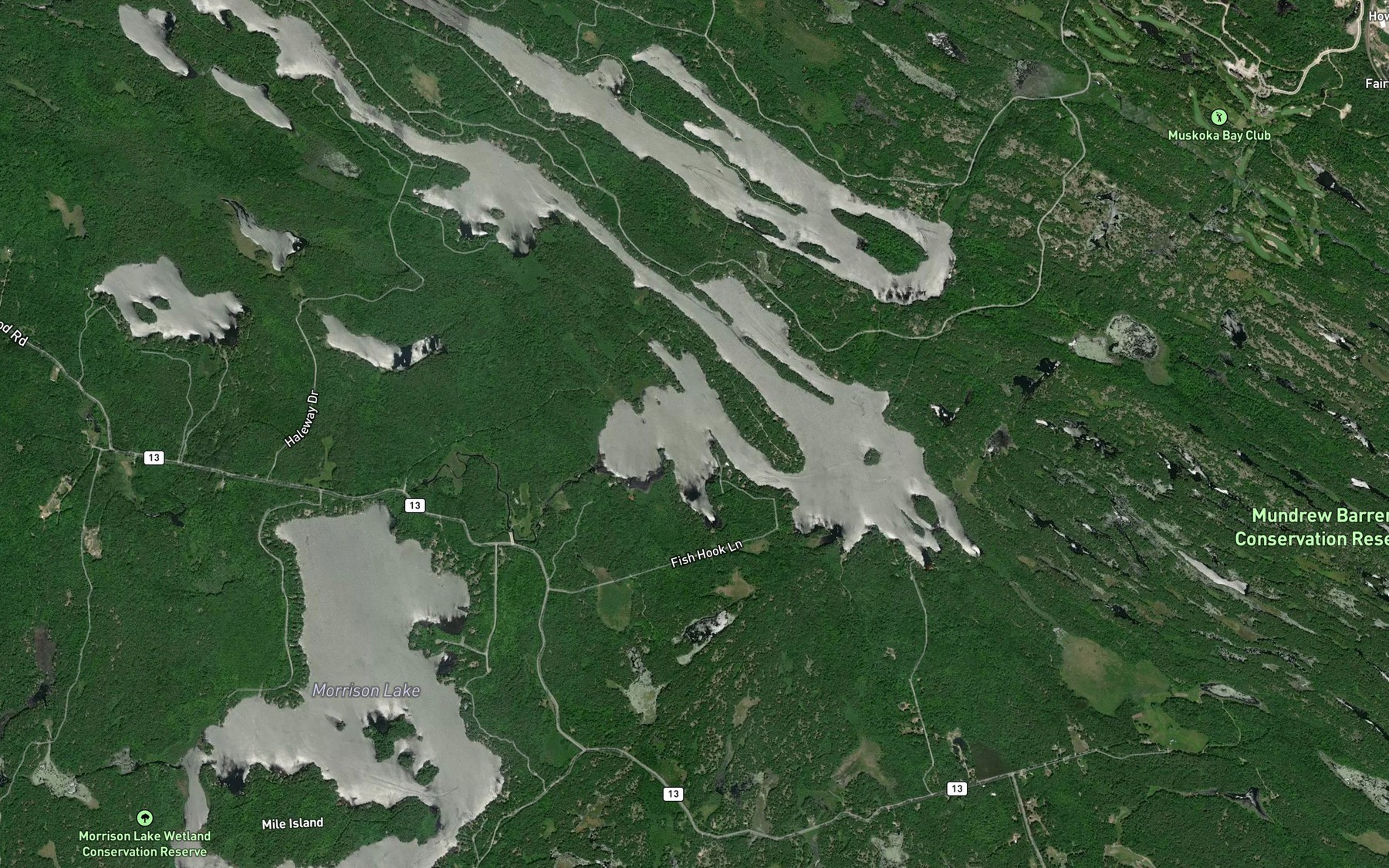 Satellite map of the South Muldrew Lake