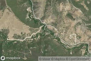 Paloma Creek
