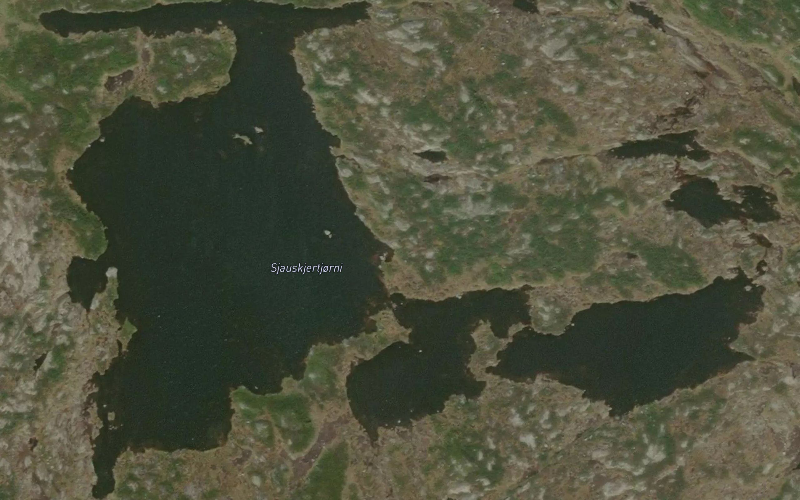 Sjauskjertjorni