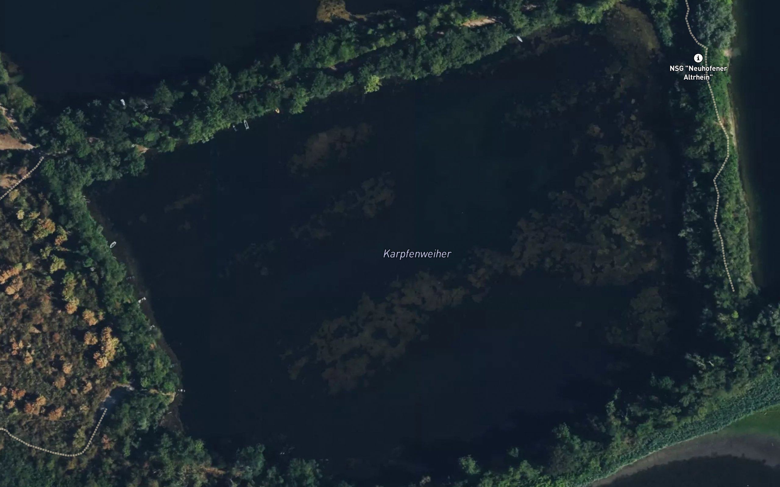 Karpfenweiher
