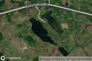 Rushy Ponds