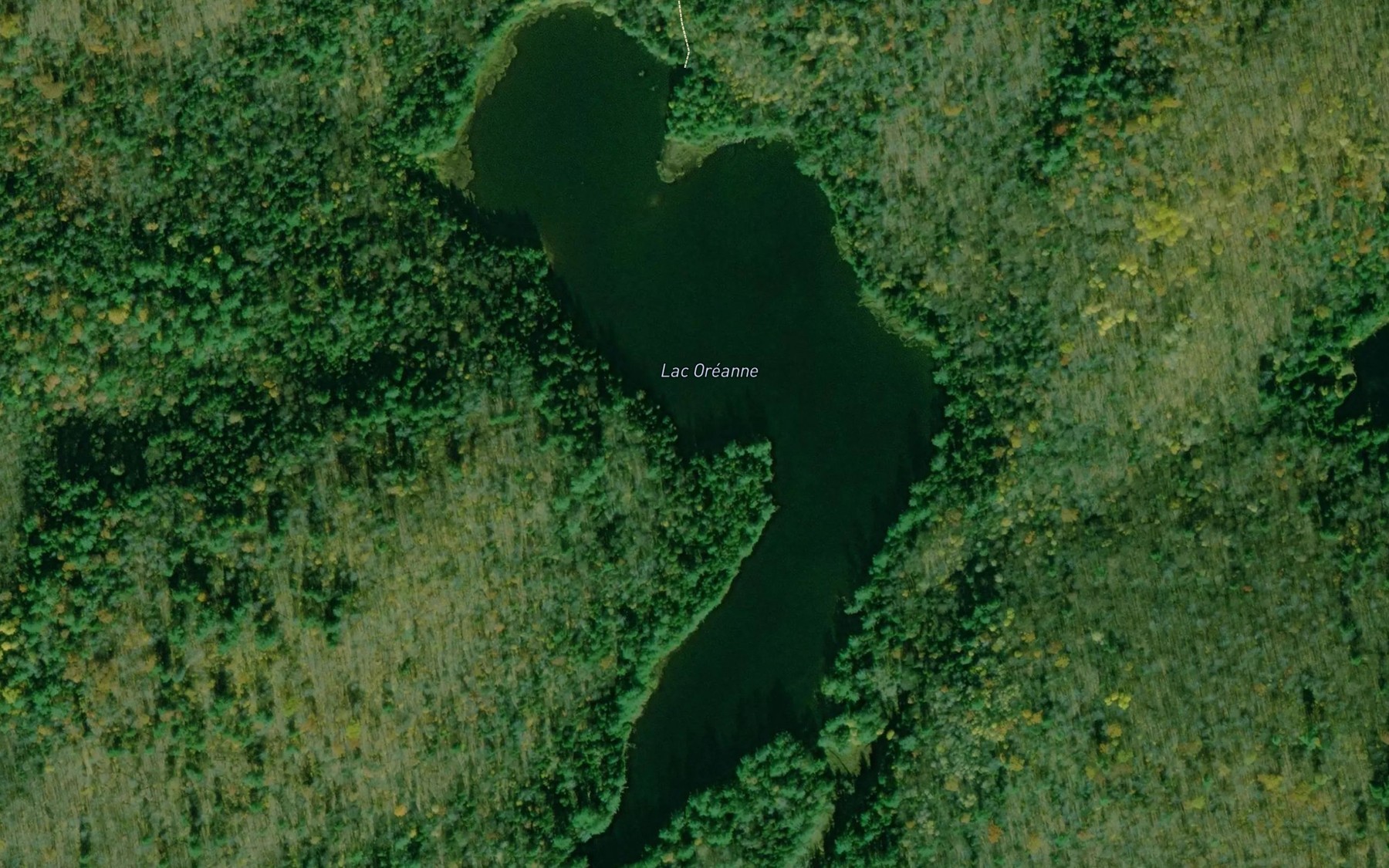 Satellite map of the Lac Oreanne