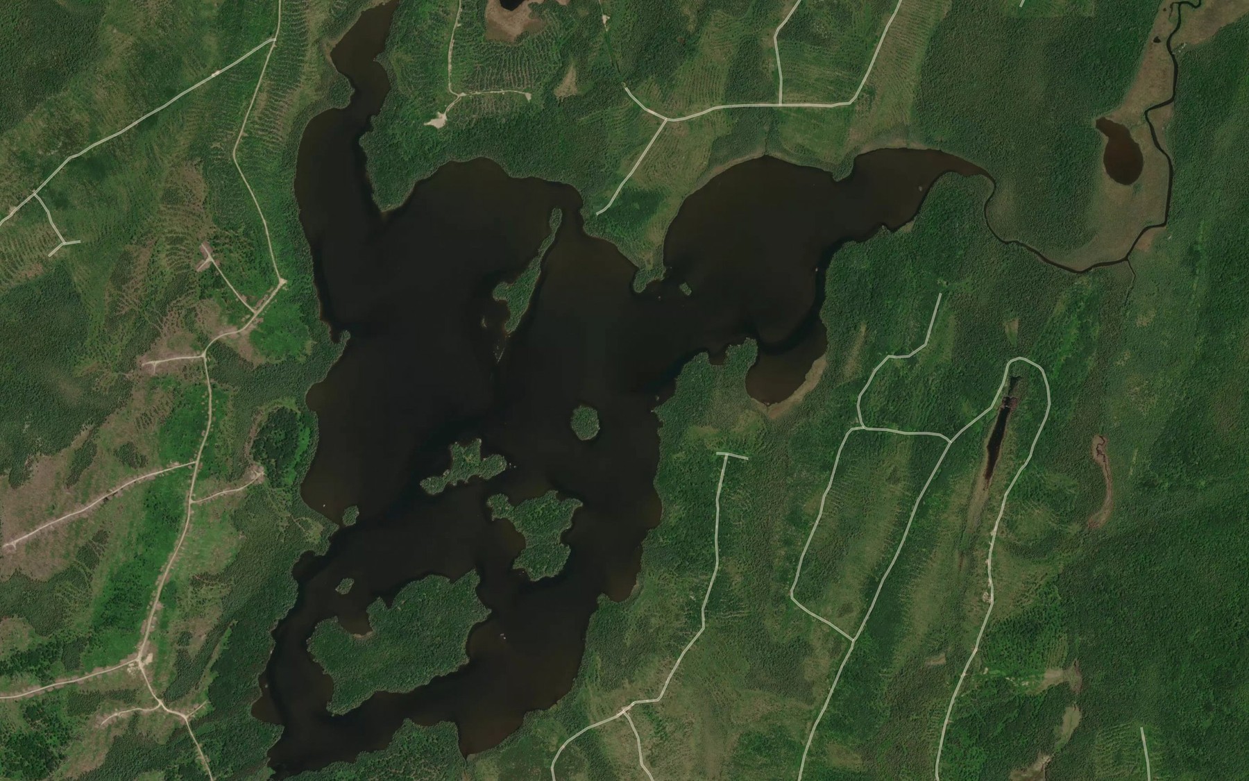Satellite map of the Hellyer Lake