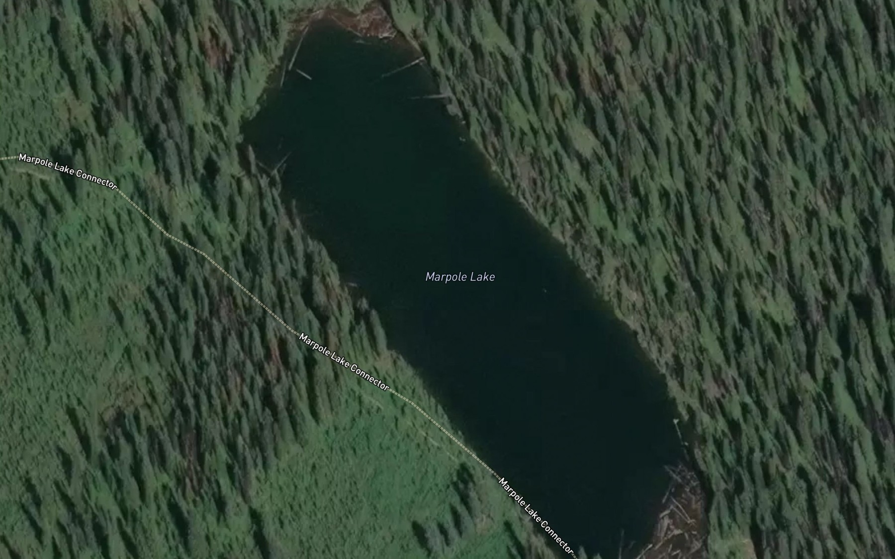 Satellite map of the Marpole Lake