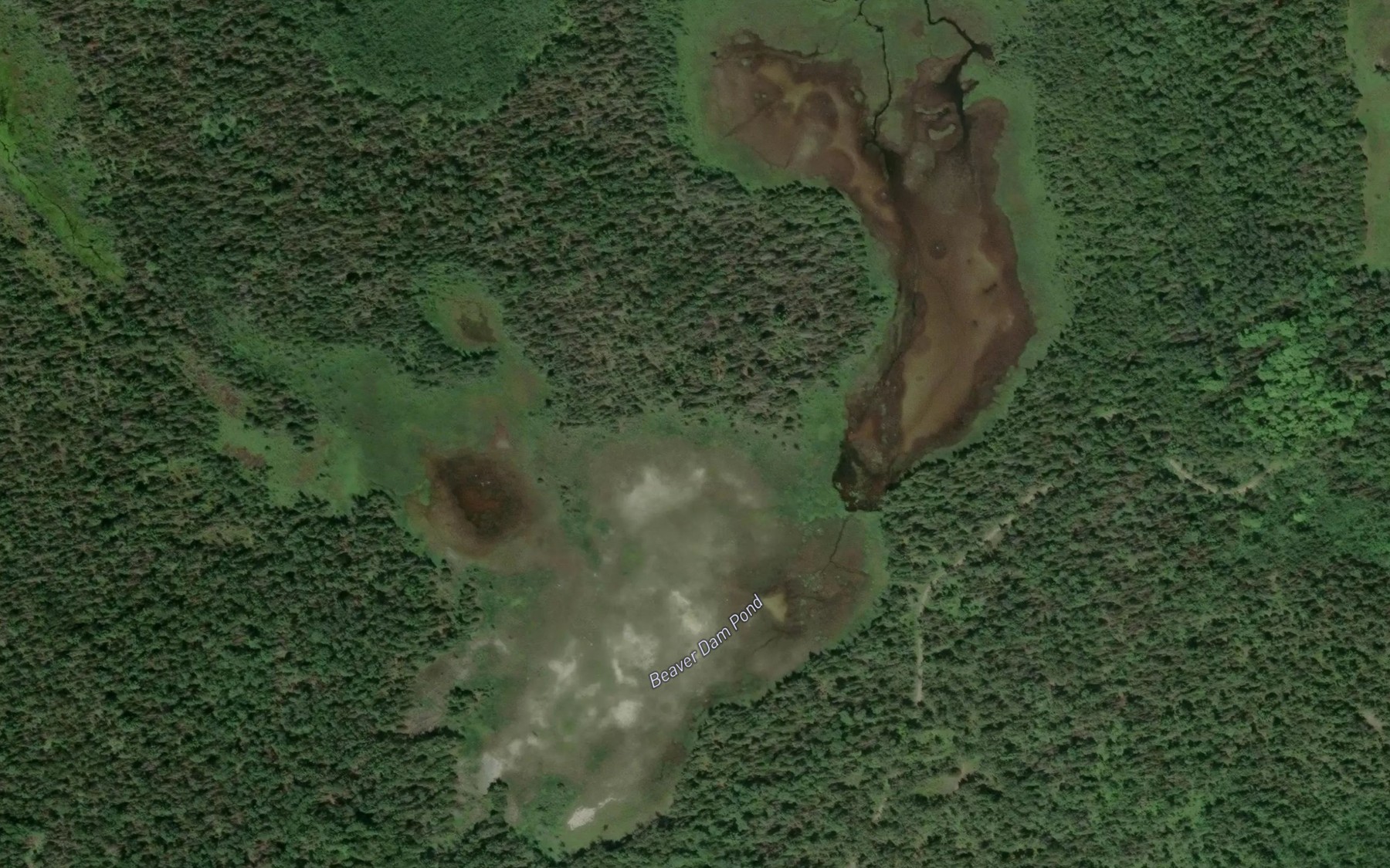 Satellite map of the Beaver Dam Pond