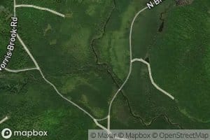 South Branch Norris Brook