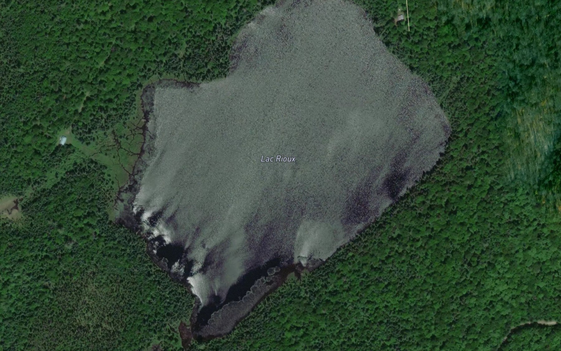 Satellite map of the Lac Rioux