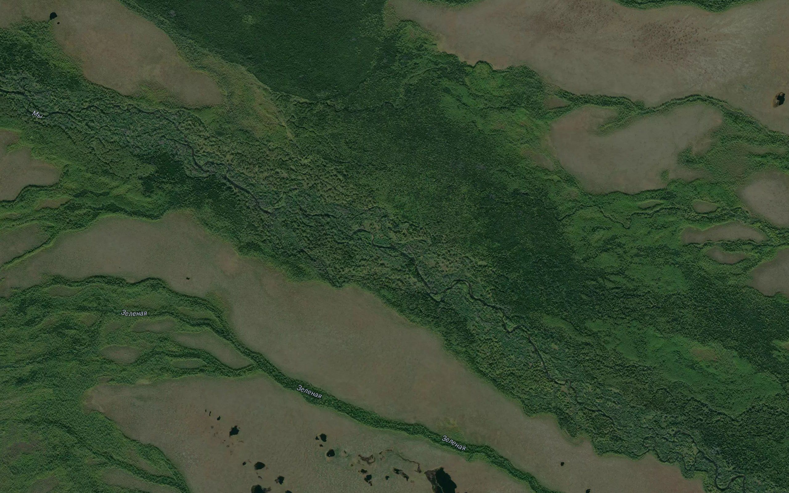 Berezovyy