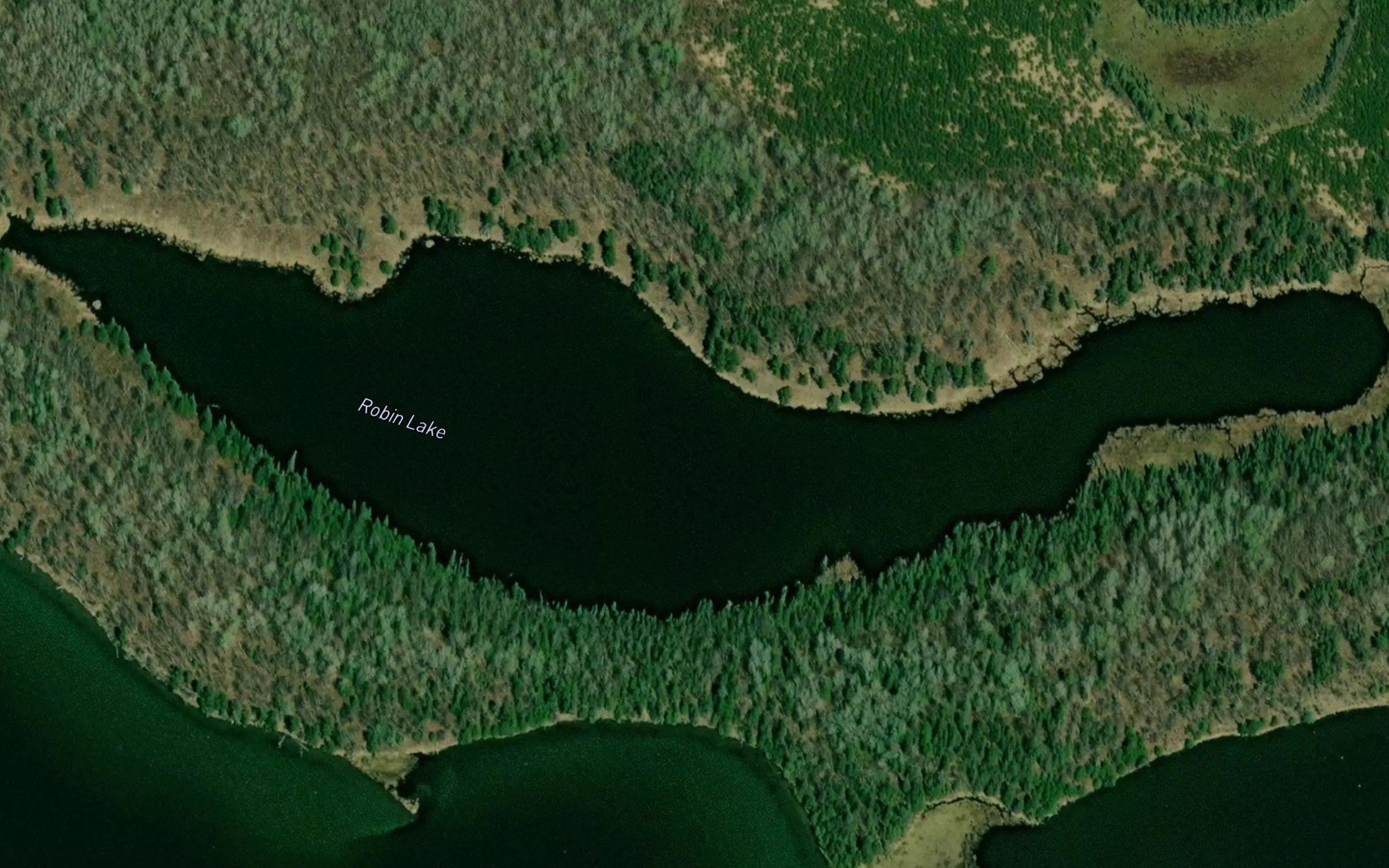 Robin Lake