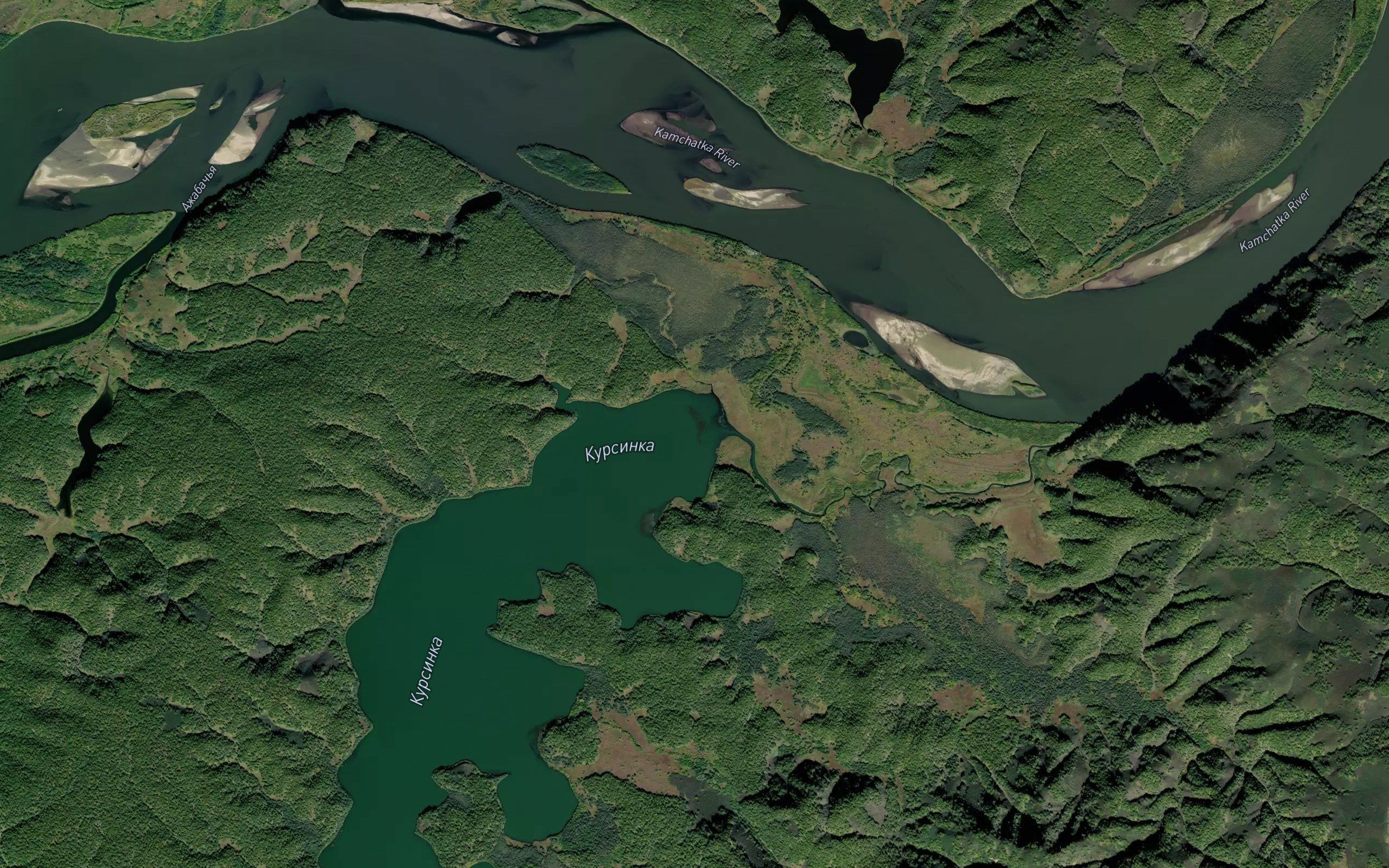Kursinka