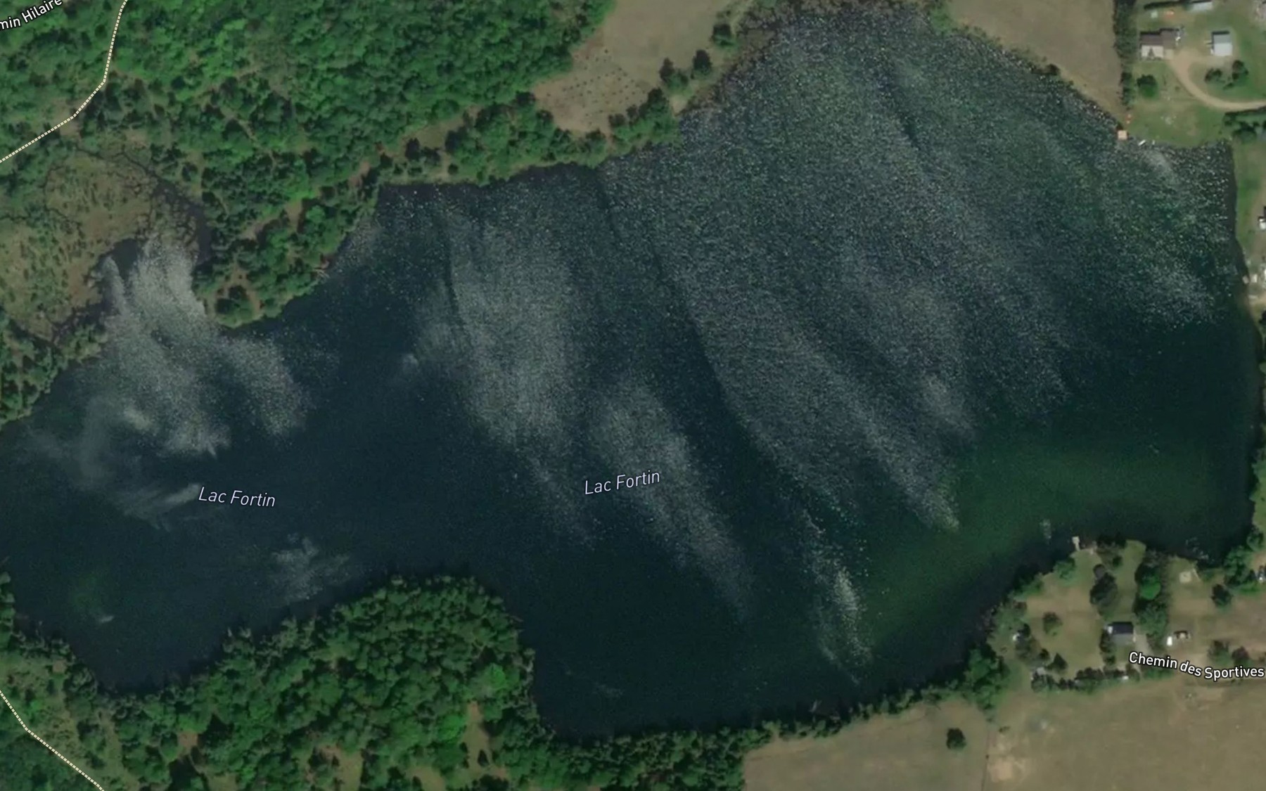 Satellite map of the Lac Fortin