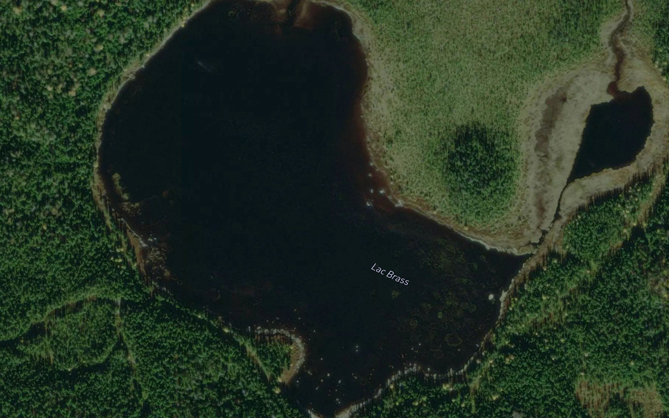 Lac Brass