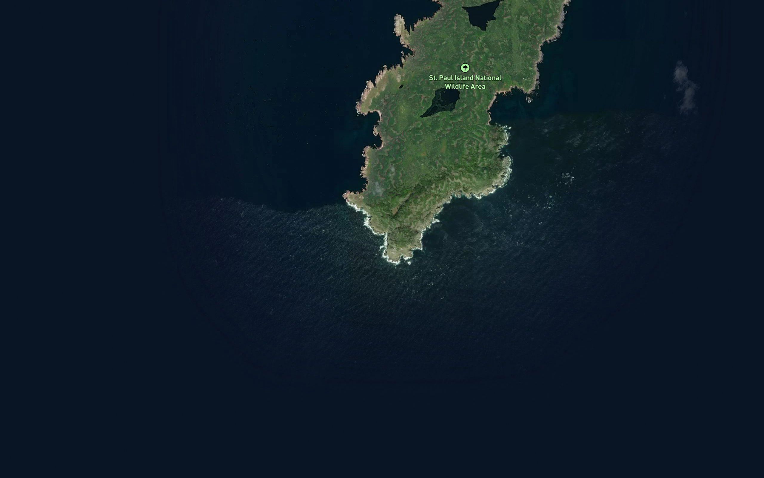 Jessies Cove