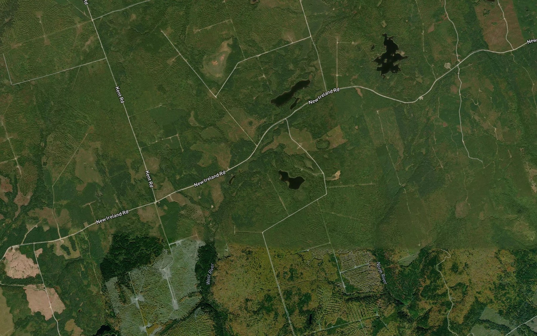 Satellite map of the Alcorn Pond
