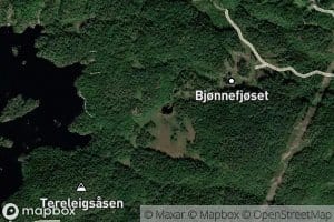 Surtetjonn