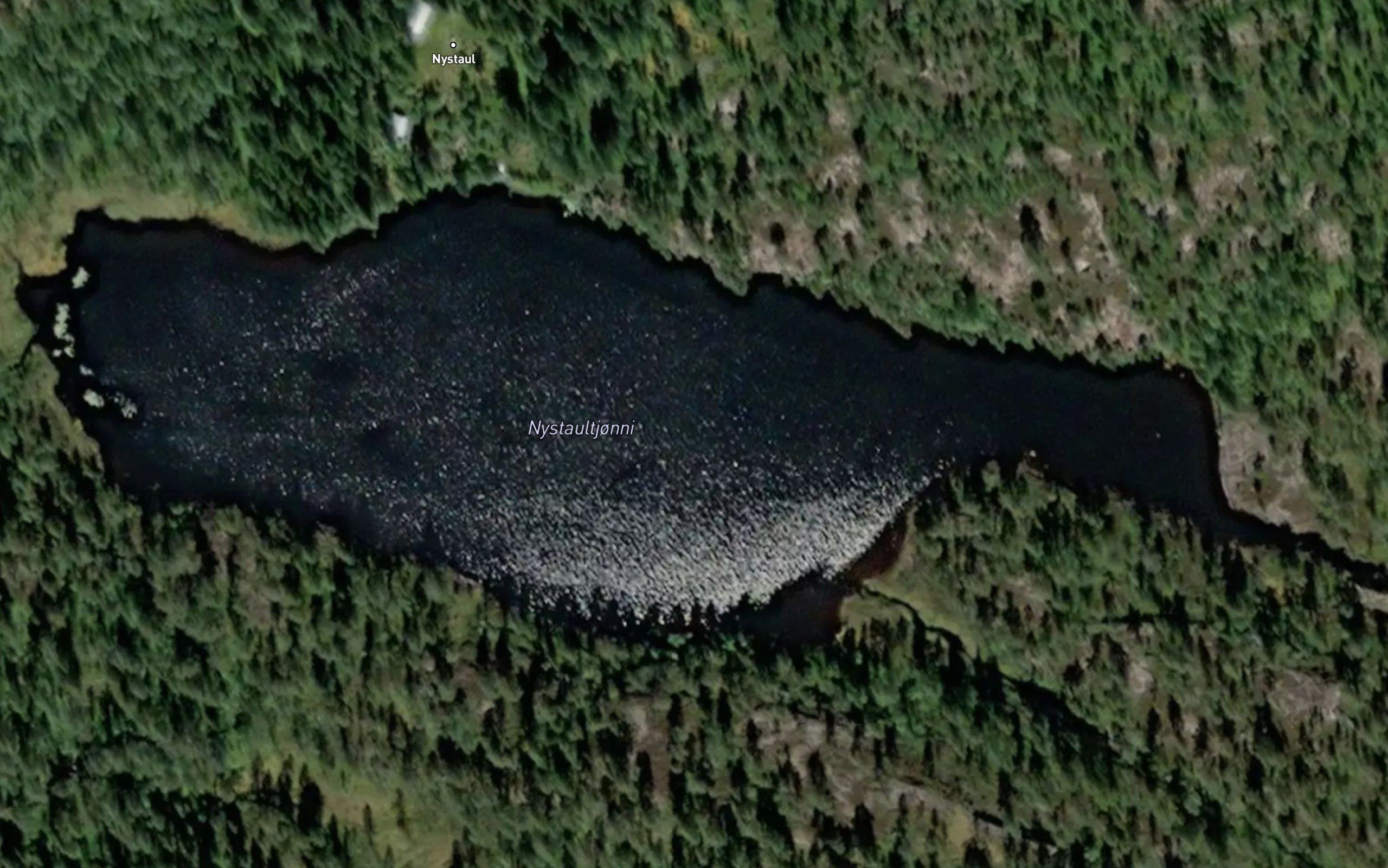 Nystaultjorni