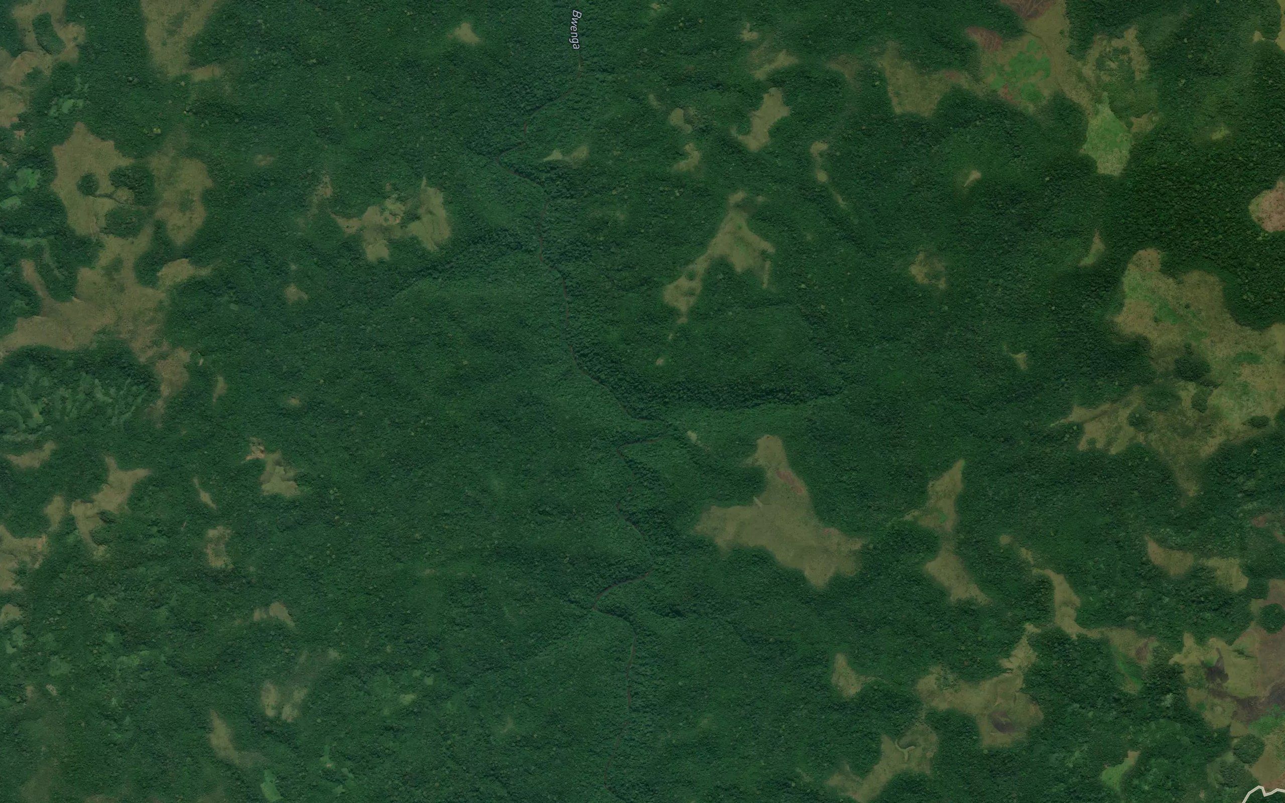 Bicoa