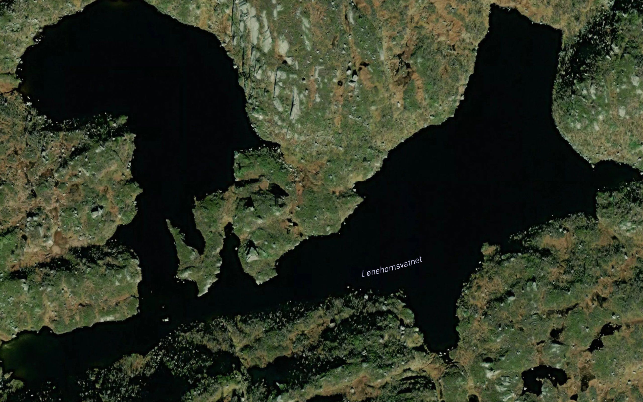 Lonehomsvatnet