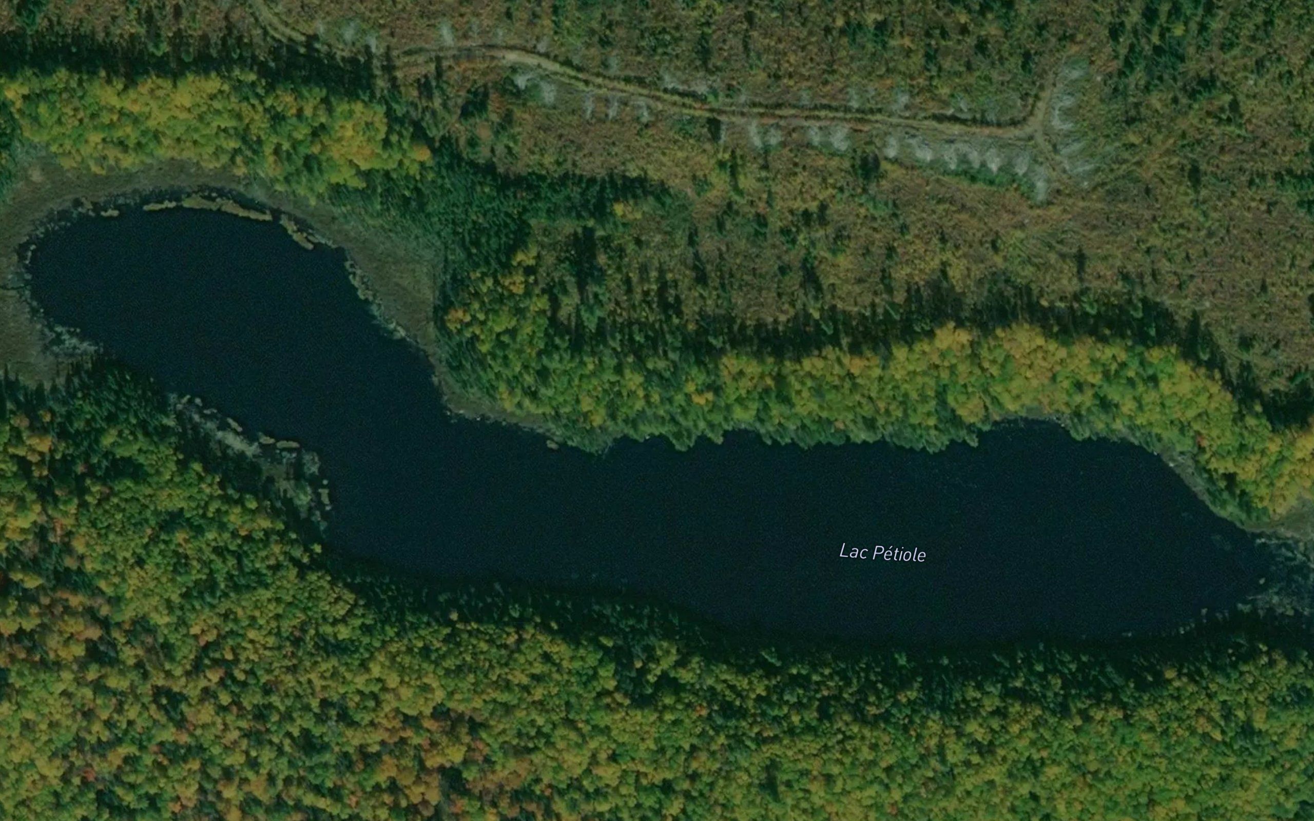 Lac Petiole