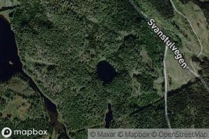 Aletjorn