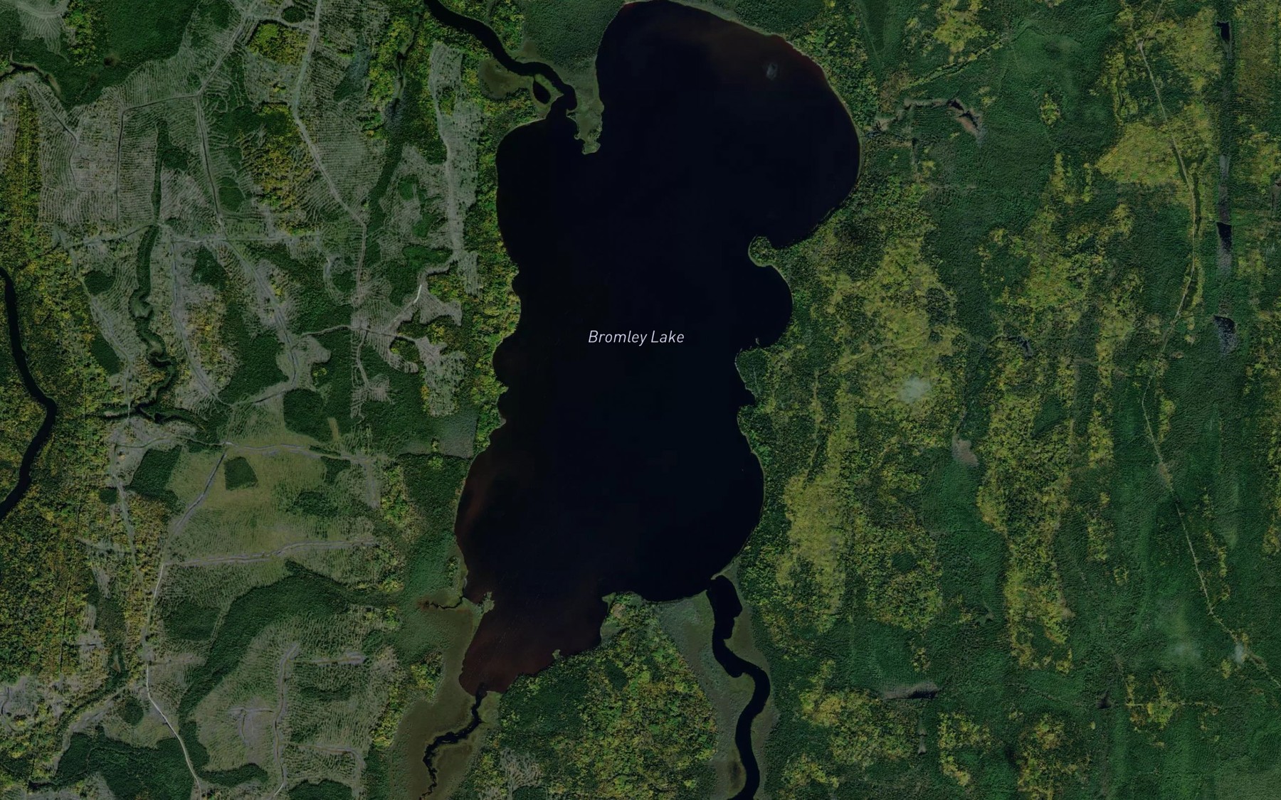 Satellite map of the Bromley Lake