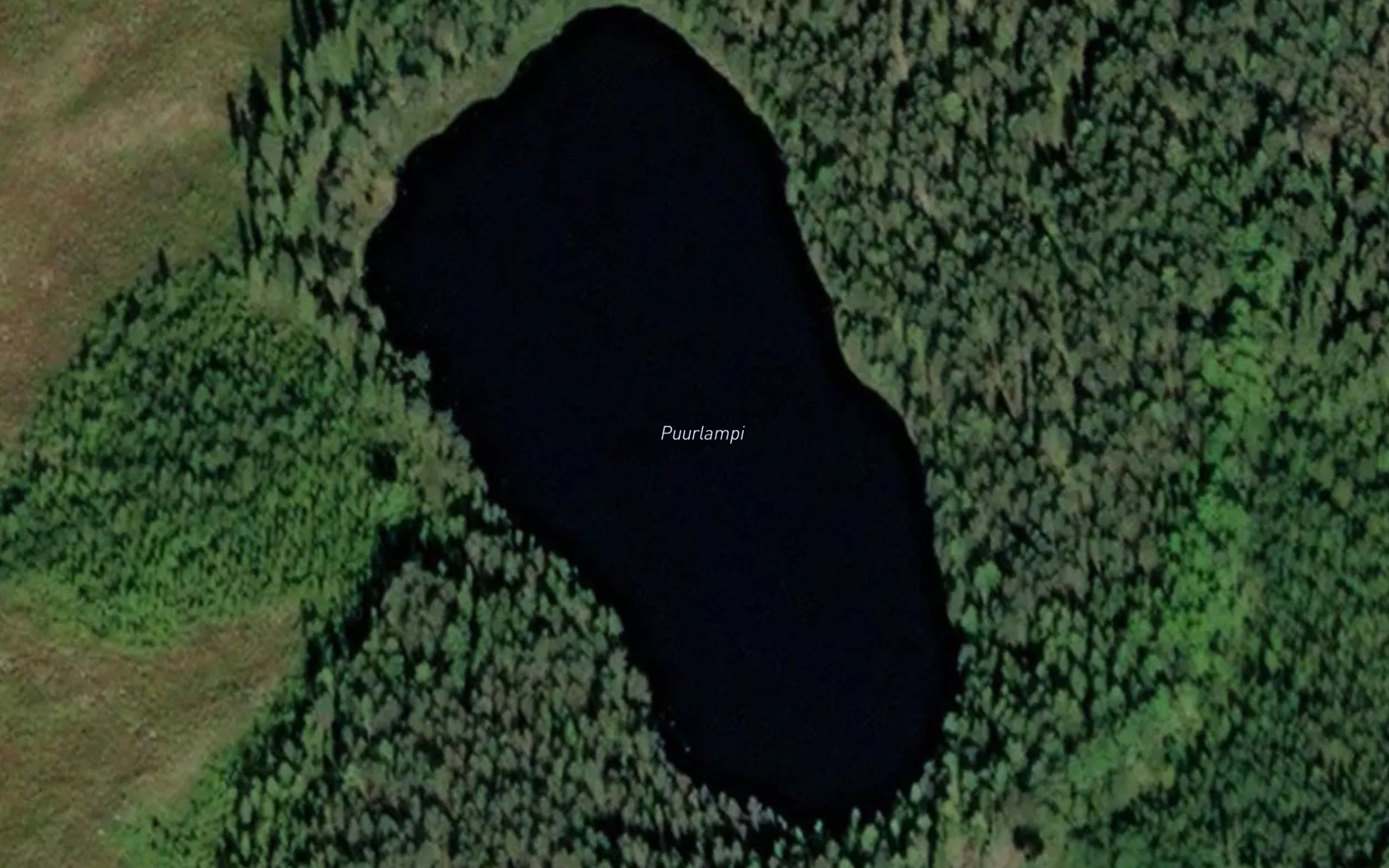 Puurlampi