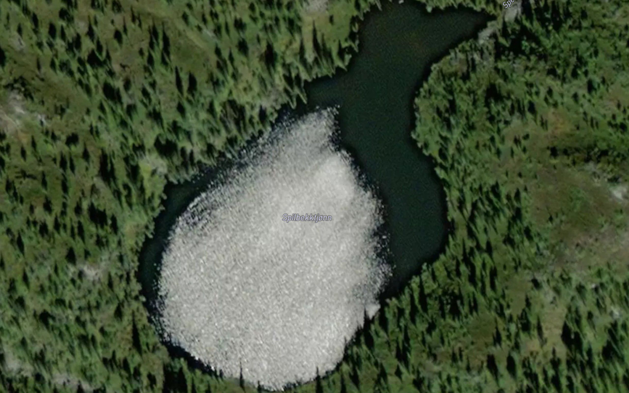 Spelbekktjornan